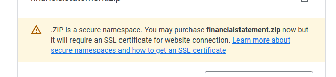 ".ZIP is a secure namespace. You may purchase financialstatement.zip now but it will require an SSL certificate for website connection."